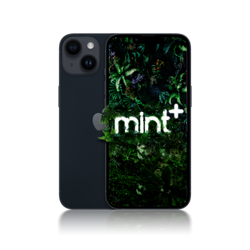iPhone 14