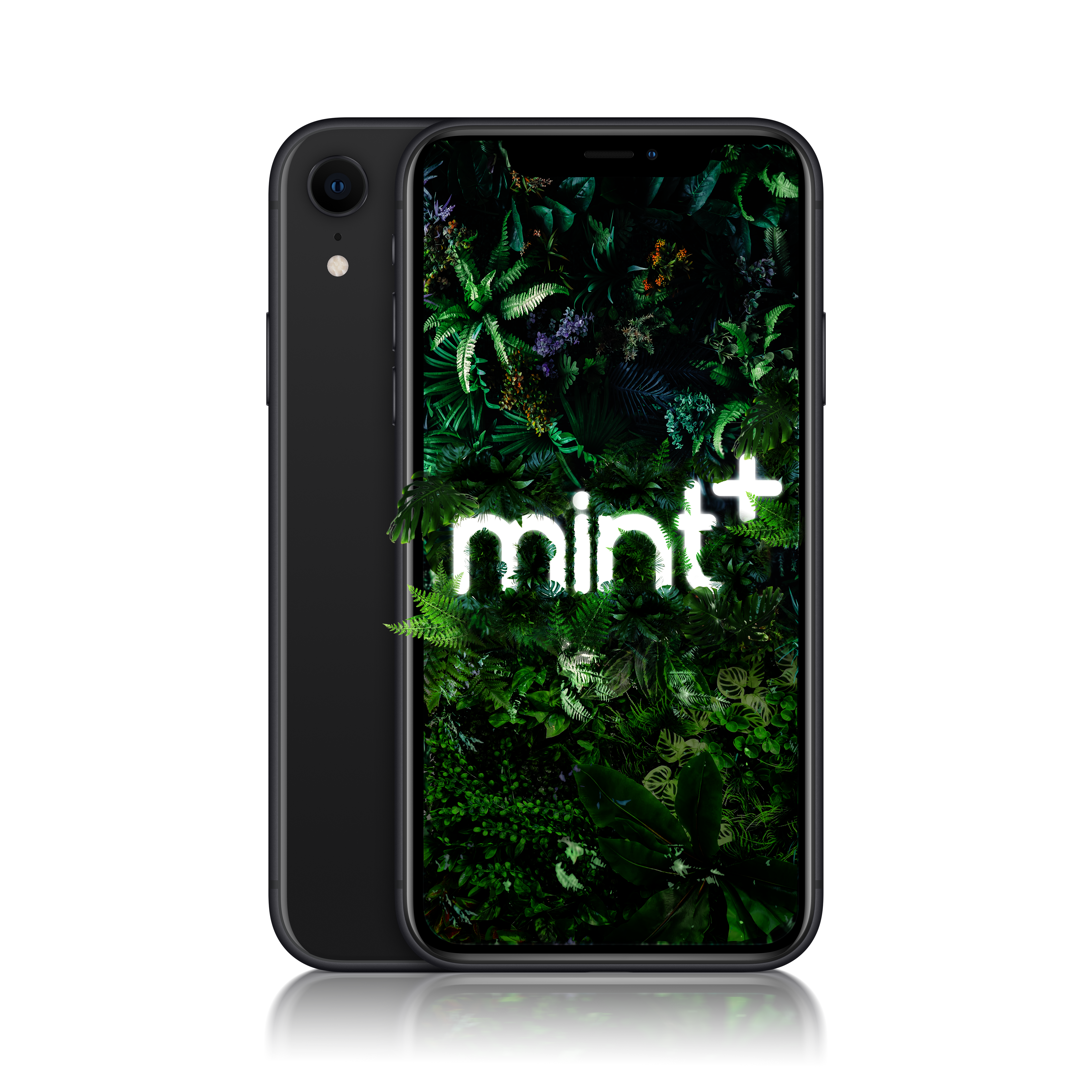 Refurbished iPhone XR | 1-year Warranty | Mint+
