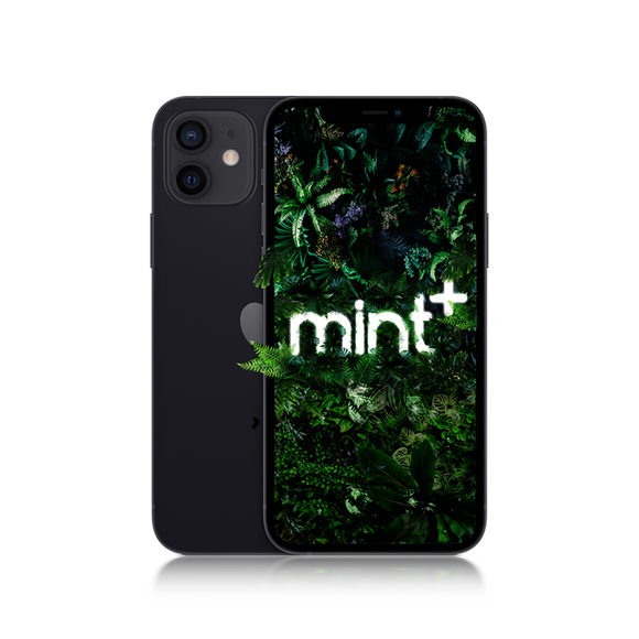 <h4>iPhone 12</h4>