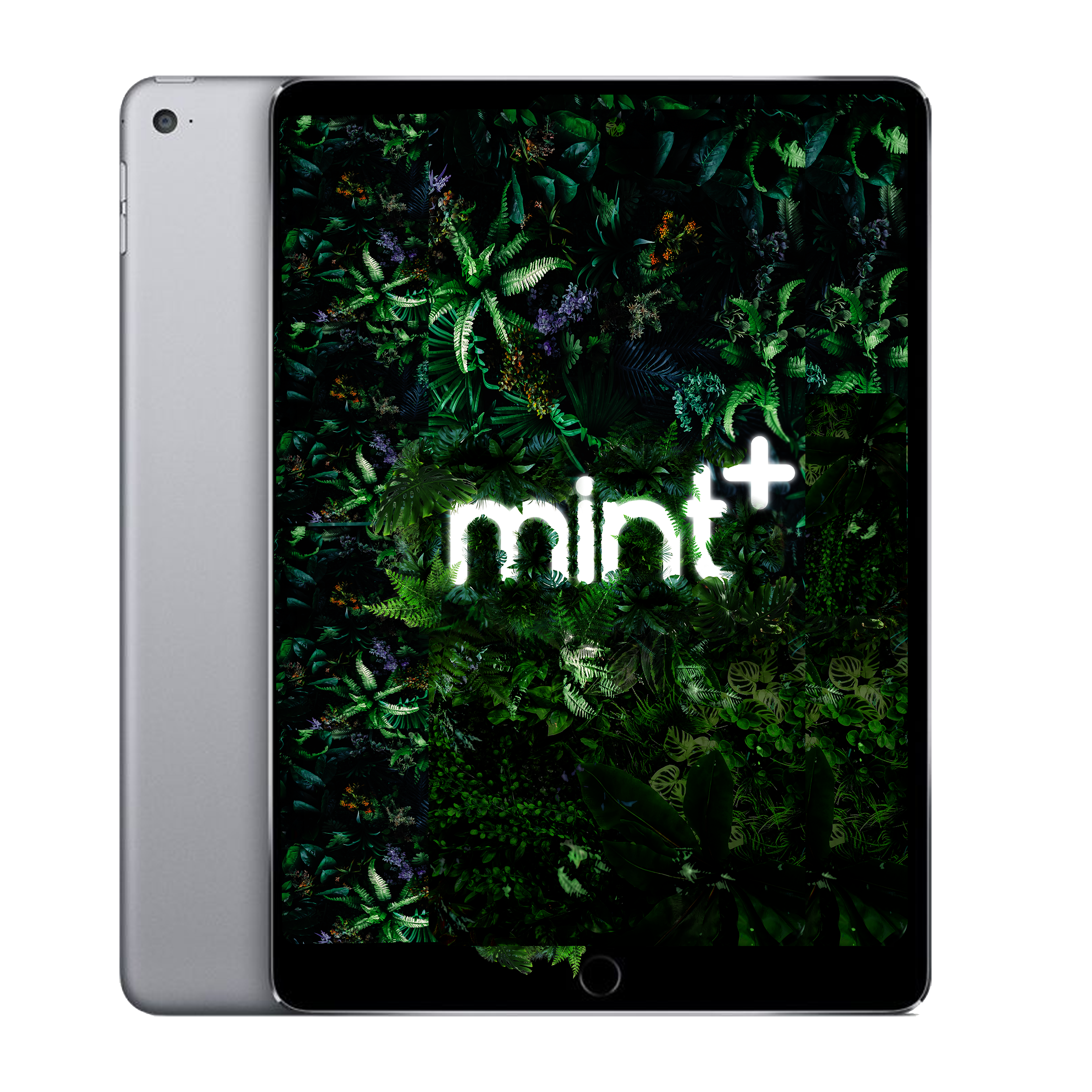 iPad Air 2 (2014)