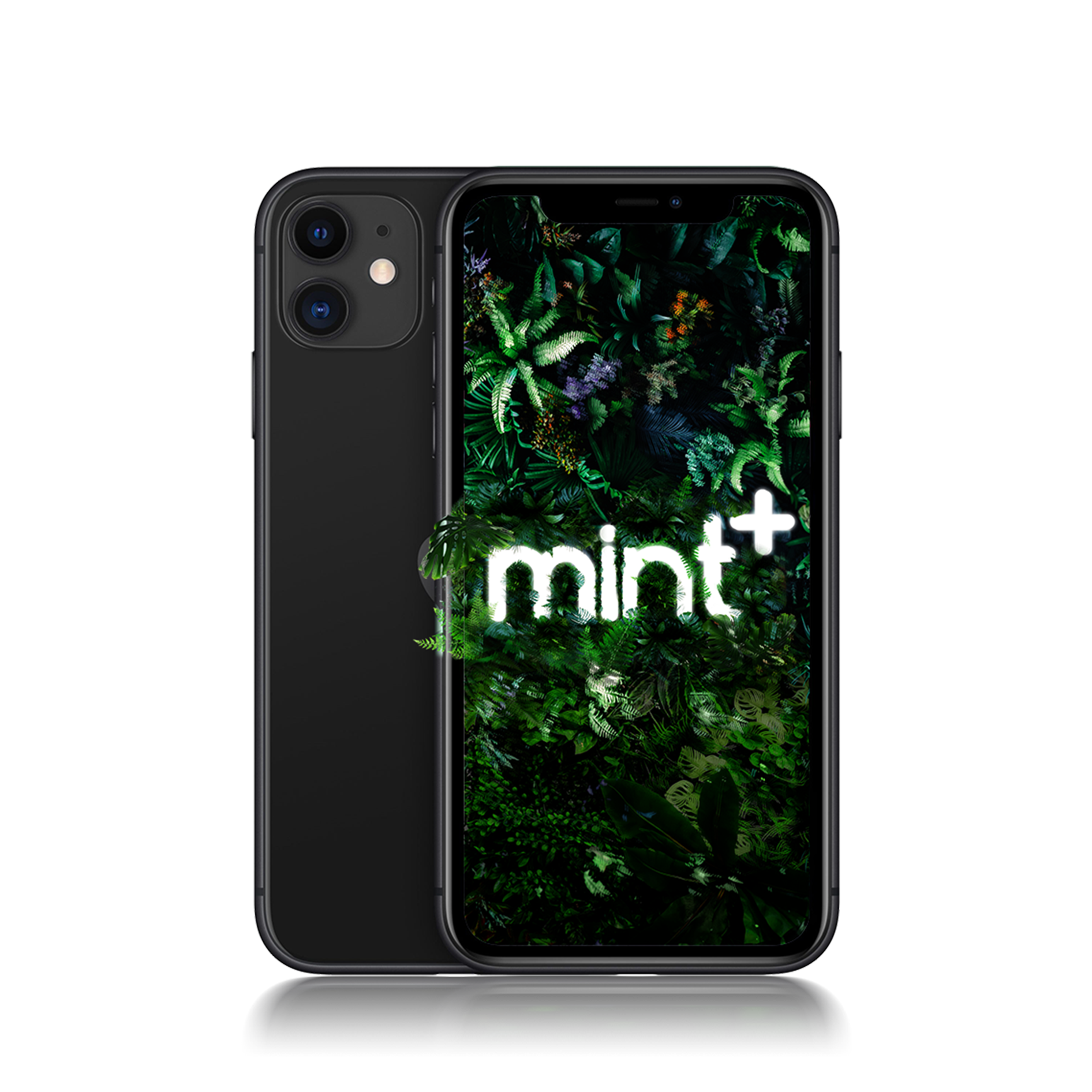 <h4>iPhone 11</h4>